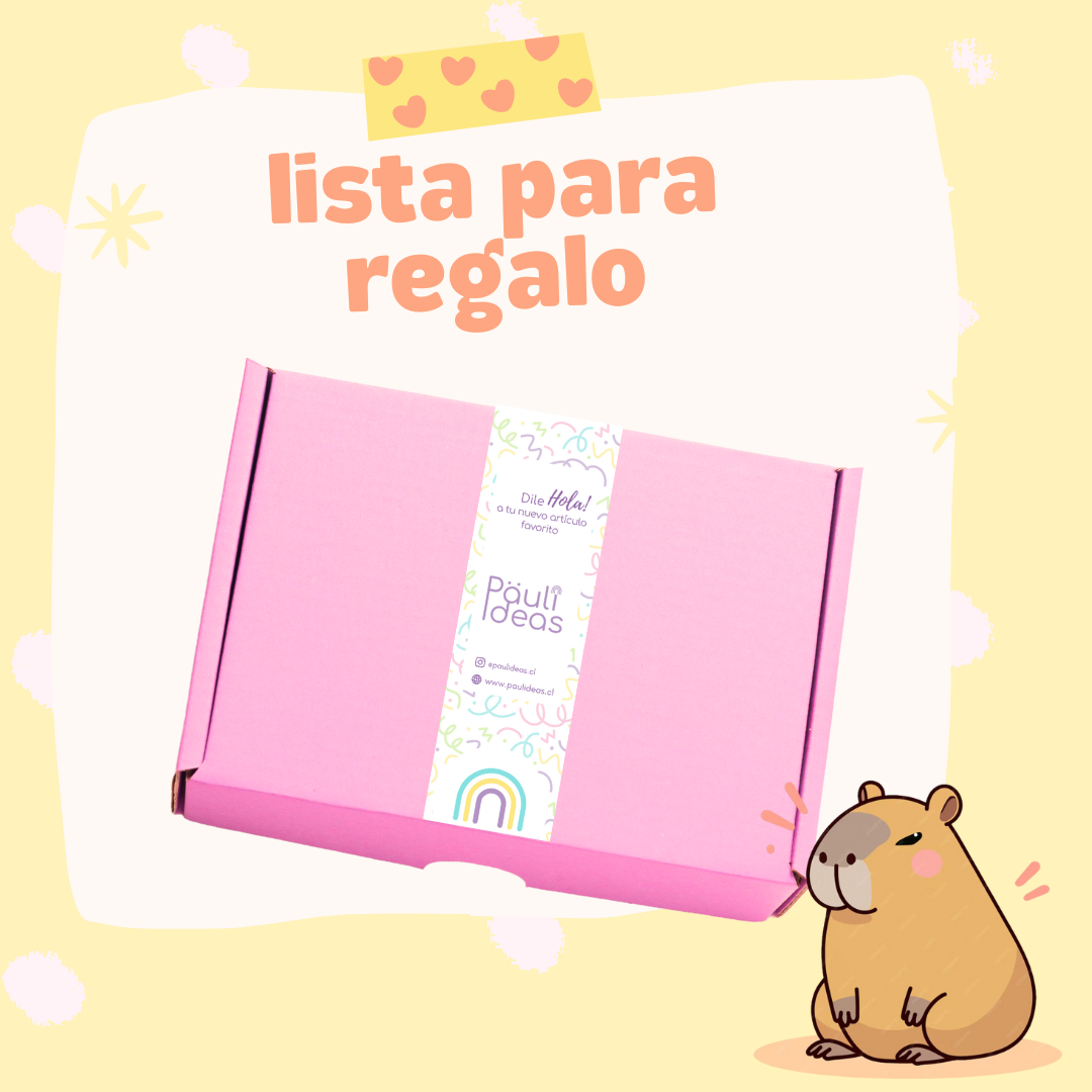 Papelería Capybara Set Kawaii Box De Regalo M