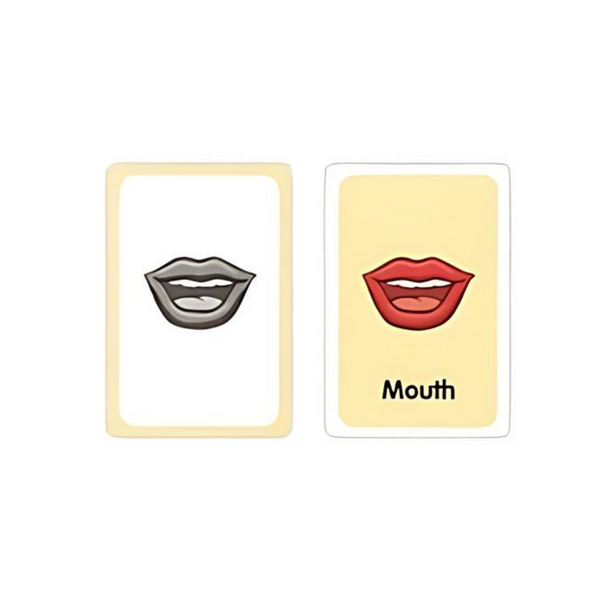 Tarjetas De Aprendizaje En Inglés - Flash Cards Set 7