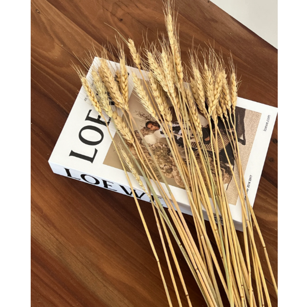 Flores Secas Naturales Boho Set 3 Ramos
