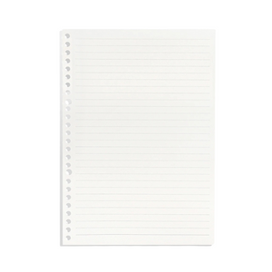 Repuesto De Hojas Para Libreta Anillada B5 Languo