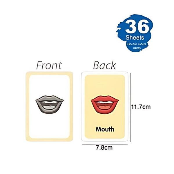 Tarjetas De Aprendizaje En Inglés - Flash Cards Set 7