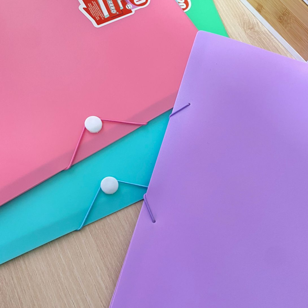 Carpeta Archivadora Tamaño Oficio Con 20 Fundas Transparente