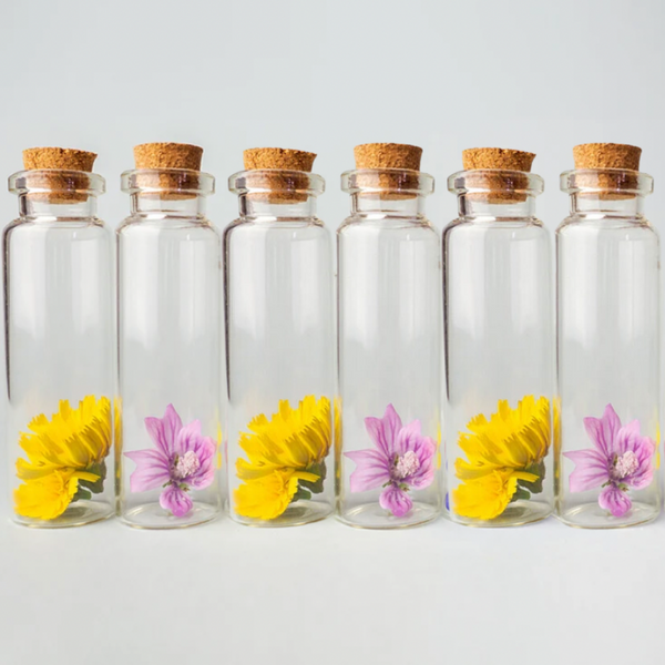 Set De 12 Mini Botella Vidrio Con Tapa Corcho 10 cm x 3 cm