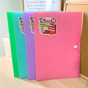 Carpeta Archivadora Tamaño Oficio Con 20 Fundas Transparente
