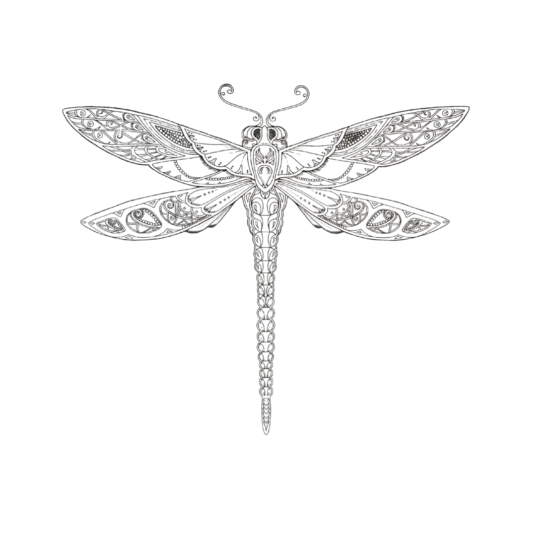 Set Mandalas Para Colorear + Lápices Tiralinea 24 Colores