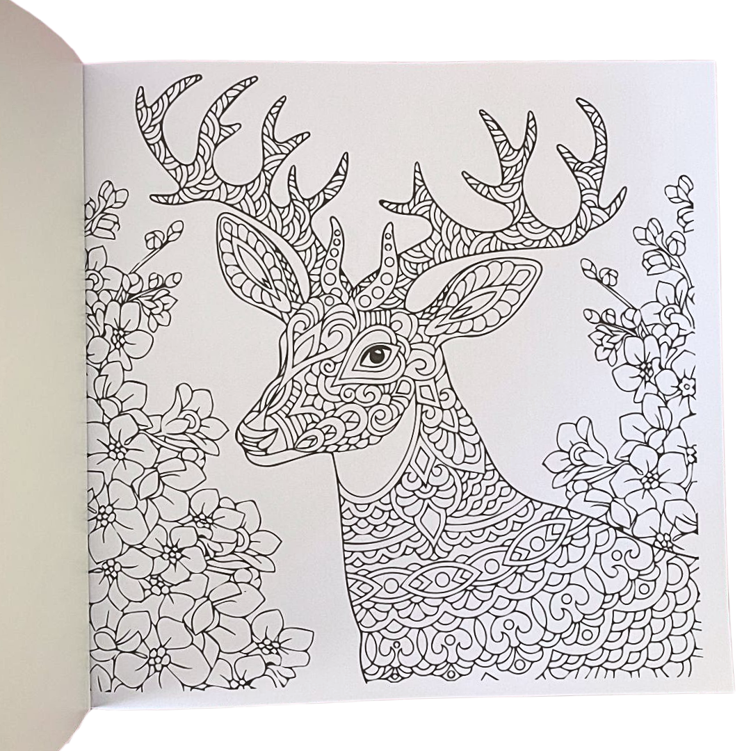 Libro Mándala Fauna + 12 Plumones Doble Punta Fina/gruesa