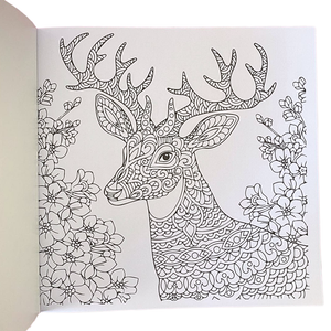 Libro Mándala Fauna + 12 Plumones Doble Punta Fina/gruesa