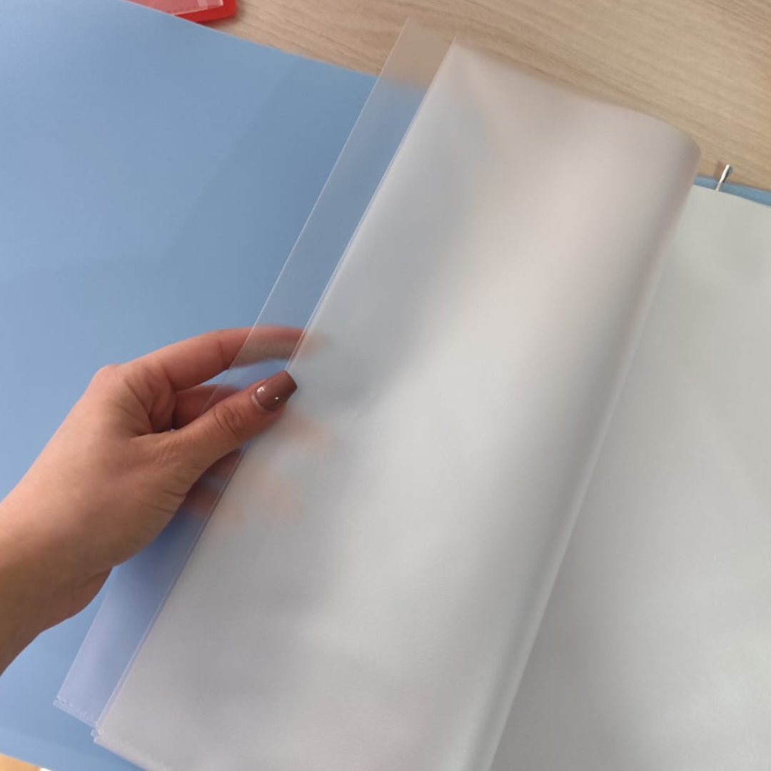 Carpeta Archivadora Anillada A4 Con 30 Fundas Transparentes