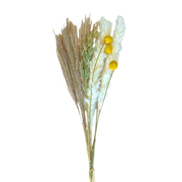 Ramo De Flores Secas Naturales Boho Mixtas