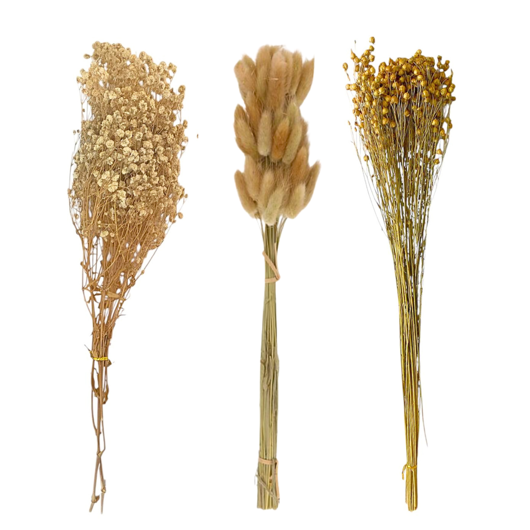 Flores Secas Naturales Boho Set 3 Ramos