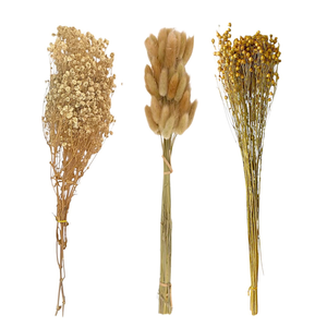 Flores Secas Naturales Boho Set 3 Ramos