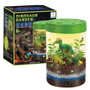 Terrario Dinosaurio Experimentos Para Niños Proyecto Plantas