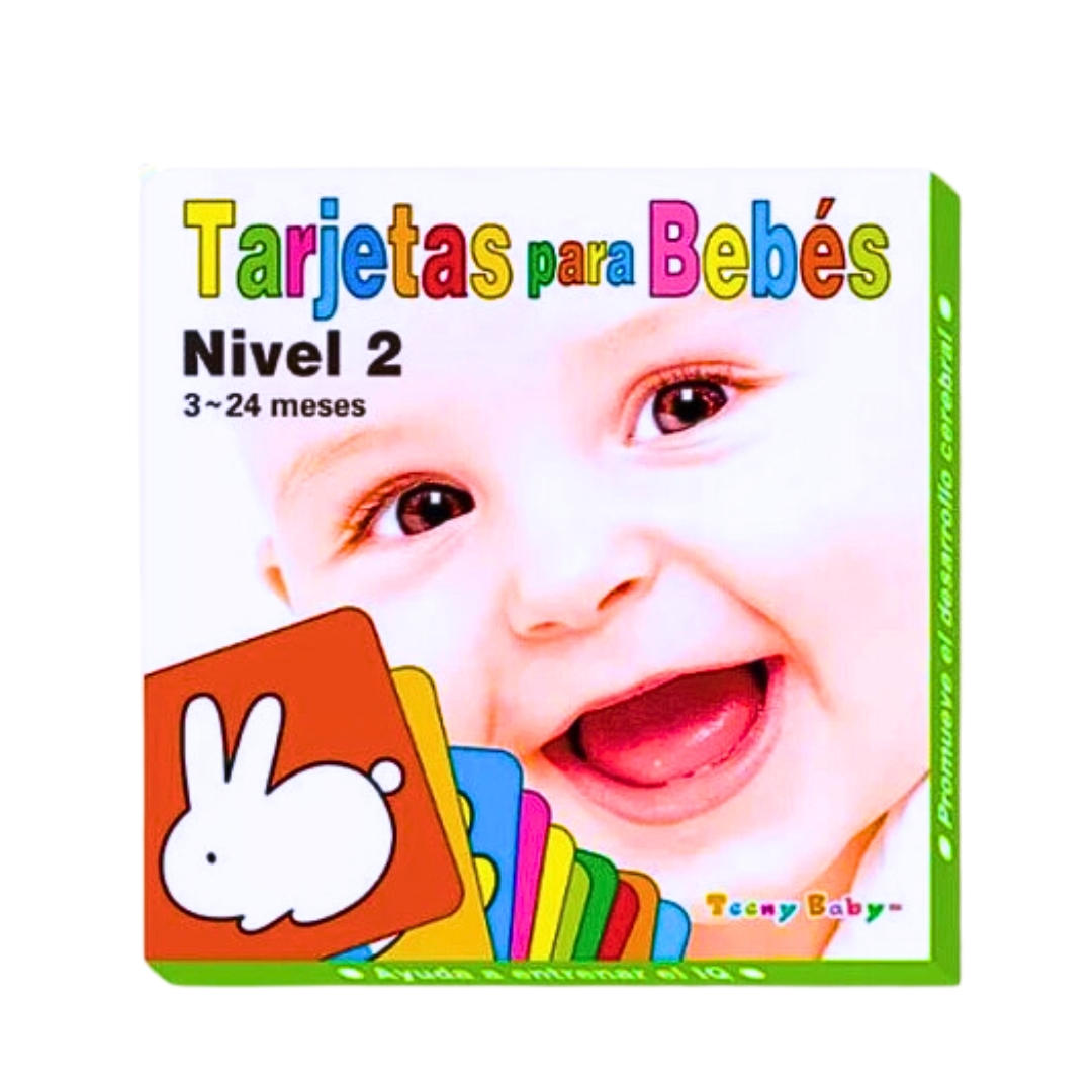 Tarjetas Didácticas Estímulo Visual Juego De Aprendizaje Nivel 2