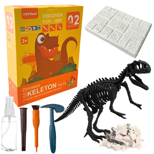 Juego De Arqueología Esqueleto Dinosaurio Fosil Para Niños