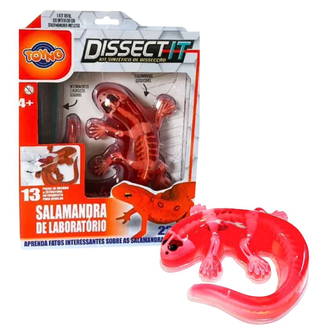 Juego De Laboratorio Disección Animales Sintético Stem