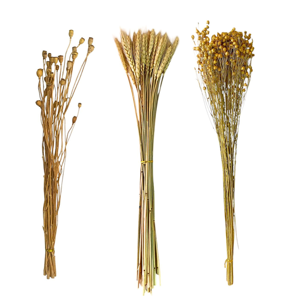 Flores Secas Naturales Boho Set 3 Ramos