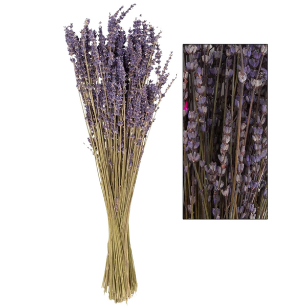Flores Secas Ramo De Lavanda Natural Con Aroma