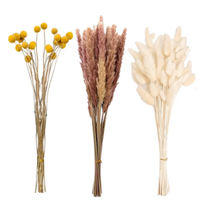 Flores Secas Naturales Boho Set 3 Ramos