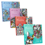 Set de 4 Libros Mandalas para Colorear