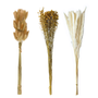 Flores Secas Naturales Boho Set 3 Ramos