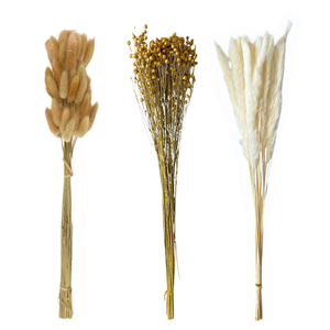 Flores Secas Naturales Boho Set 3 Ramos