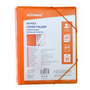 Carpeta Archivadora Anillada A4 Con 30 Fundas Transparentes