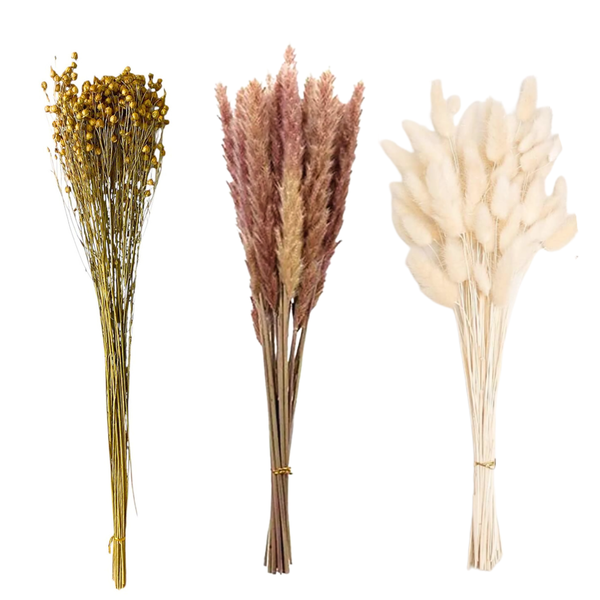 Flores Secas Naturales Boho Set 3 Ramos