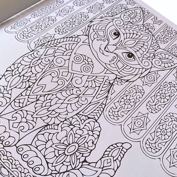 Libro Mándala Fauna + 12 Plumones Doble Punta Fina/gruesa