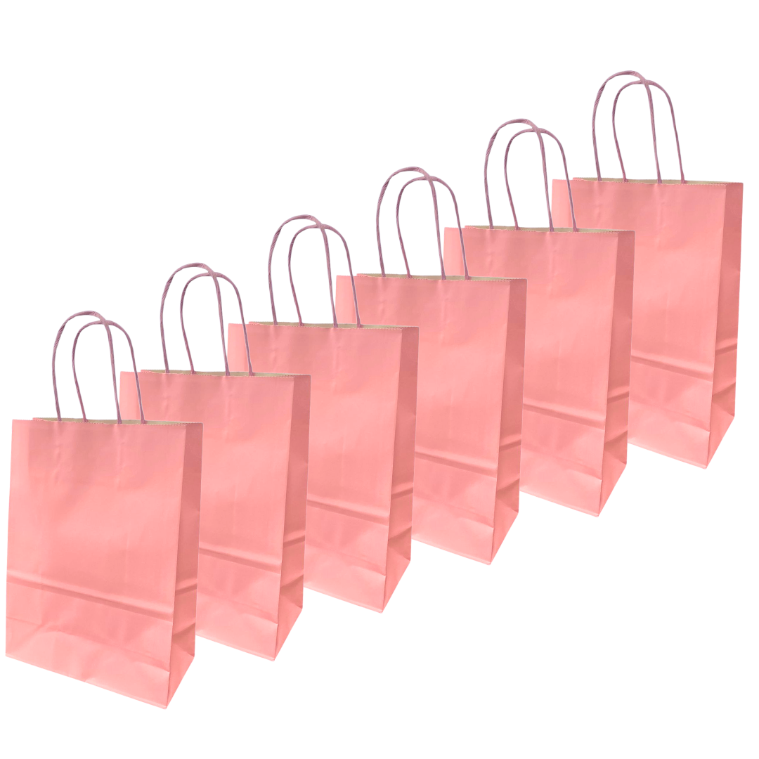 Bolsas De Papel Regalo Kraft Con Manilla Pack 12