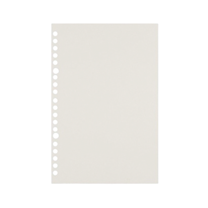 Repuesto De Hojas Para Libreta Anillada A5 Languo