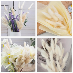 Flores Secas Naturales Boho Set 3 Ramos