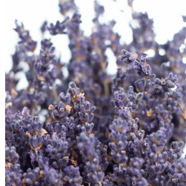 Flores Secas Ramo De Lavanda Natural Con Aroma