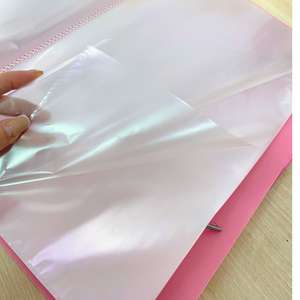 Carpeta Archivadora Tamaño Oficio Con 20 Fundas Transparente