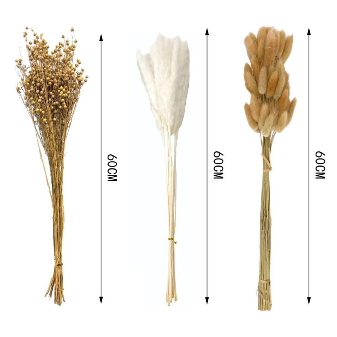 Flores Secas Naturales Boho Set 3 Ramos