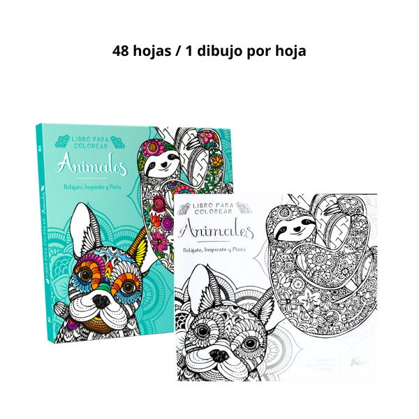 Set de 4 Libros Mandalas para Colorear