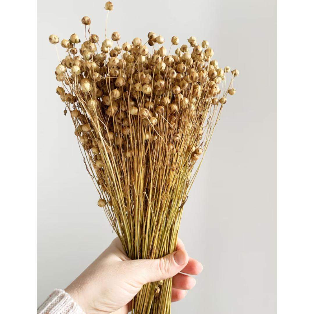 Flores Secas Naturales Boho Set 3 Ramos