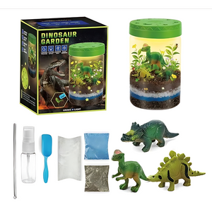 Terrario Dinosaurio Experimentos Para Niños Proyecto Plantas