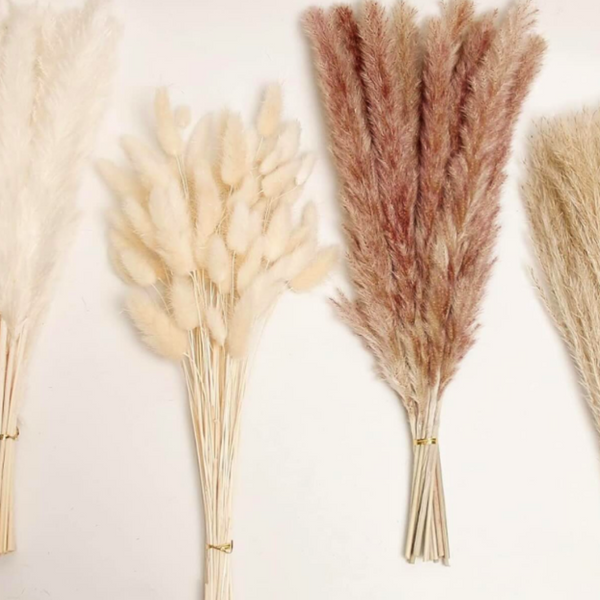 Flores Secas Naturales Boho Set 3 Ramos