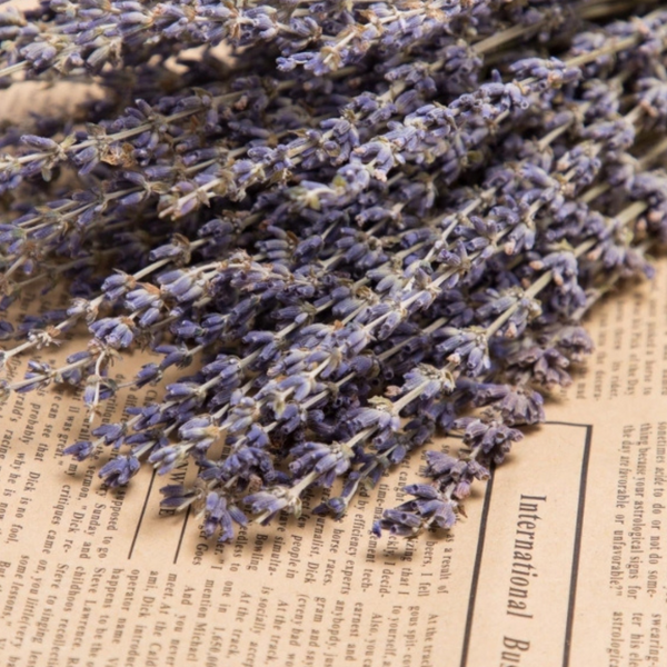 Flores Secas Ramo De Lavanda Natural Con Aroma