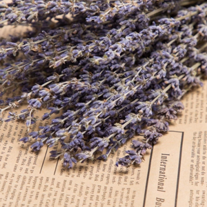 Flores Secas Ramo De Lavanda Natural Con Aroma