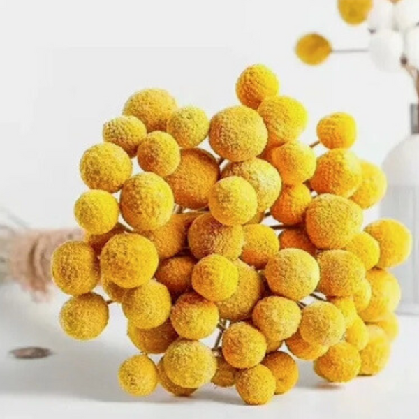 Flores Secas Naturales Boho Set 3 Ramos