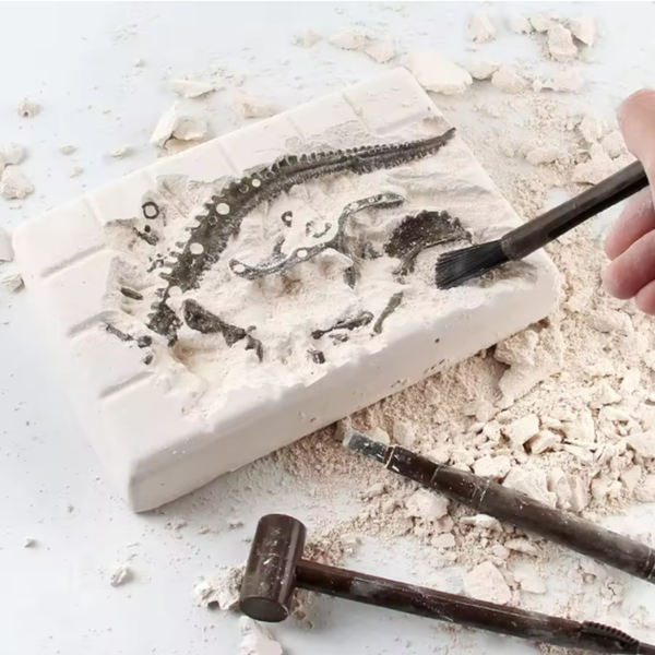 Juego De Arqueología Esqueleto Dinosaurio Fosil Para Niños