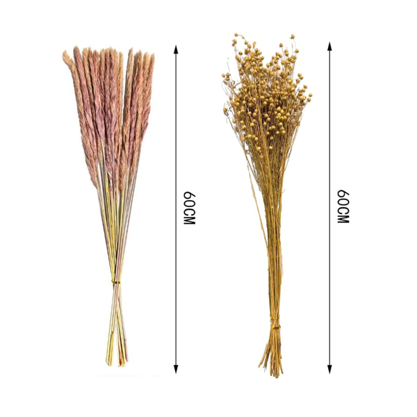 Flores Secas Naturales Boho Set 3 Ramos