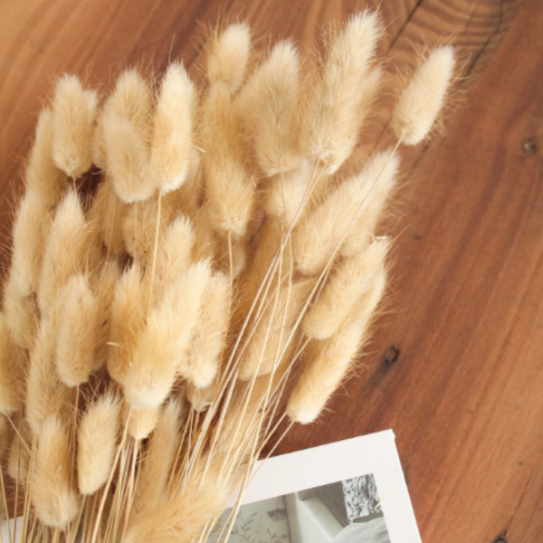Flores Secas Naturales Boho Set 3 Ramos