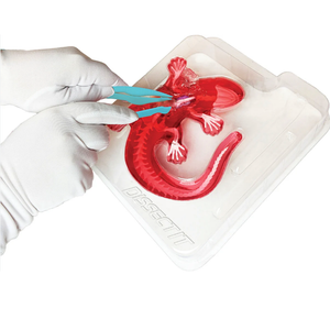 Juego De Laboratorio Disección Animales Sintético Stem