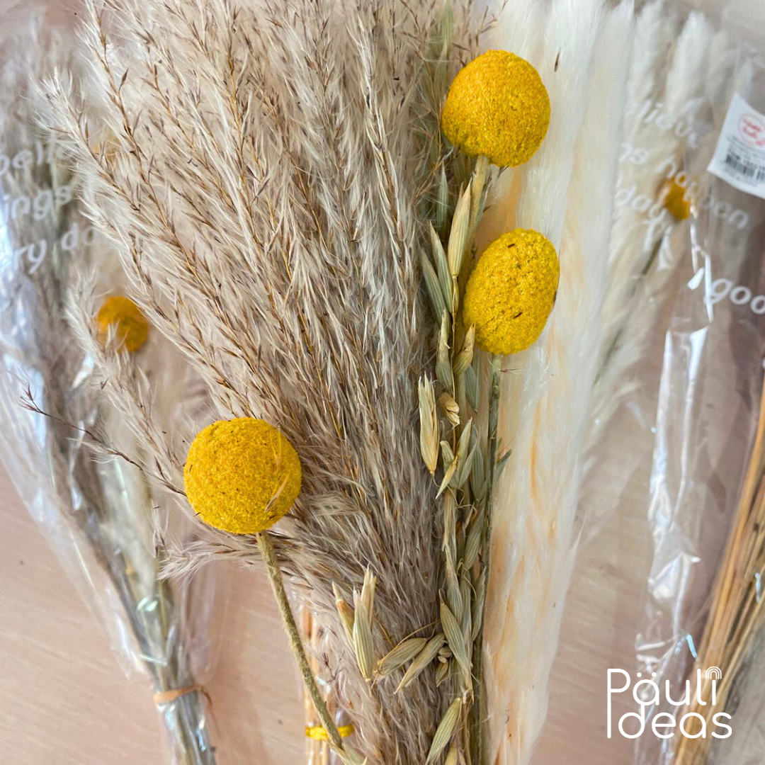 Ramo De Flores Secas Naturales Boho Mixtas