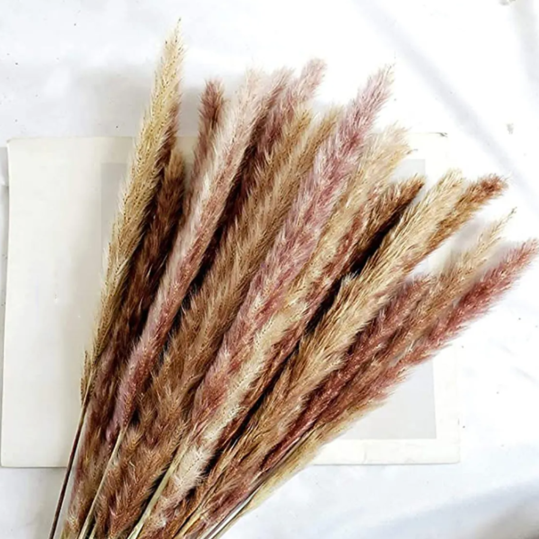 Flores Secas Naturales Boho Set 3 Ramos