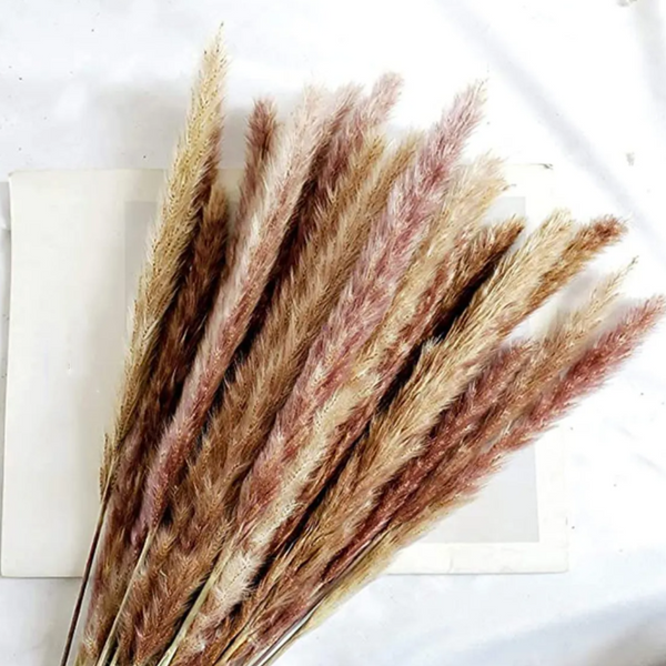 Flores Secas Naturales Boho Set 3 Ramos