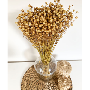 Flores Secas Naturales Boho Set 3 Ramos