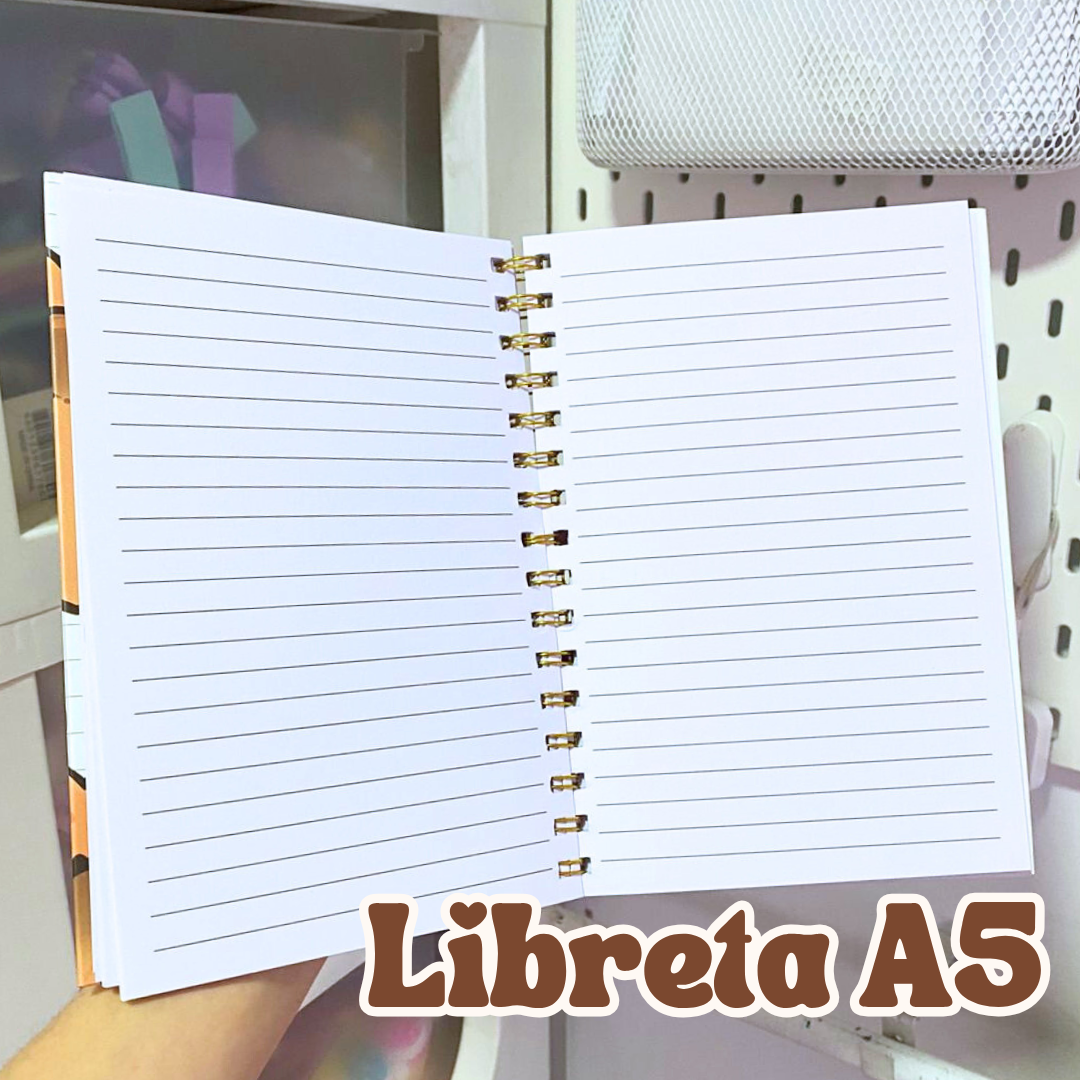 Papelería Capibara Kawaii Box De Regalo Capybara Tamaño Xl